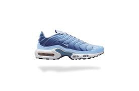 Nike TN Calestine Bleu